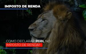 Ir2020:como Declarar Pgbl No Imposto De Renda Notícias E Artigos Contábeis Notícias E Artigos Contábeis - Escritório Brasil de Contabilidade