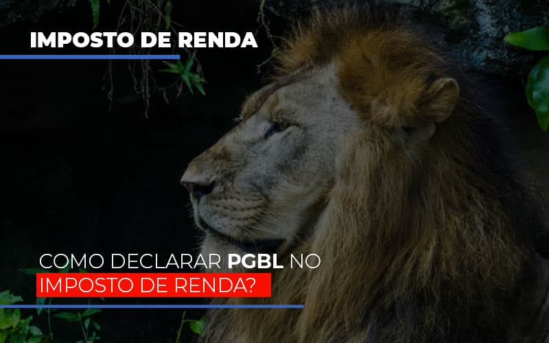 Ir2020:como Declarar Pgbl No Imposto De Renda Notícias E Artigos Contábeis Notícias E Artigos Contábeis - Escritório Brasil de Contabilidade