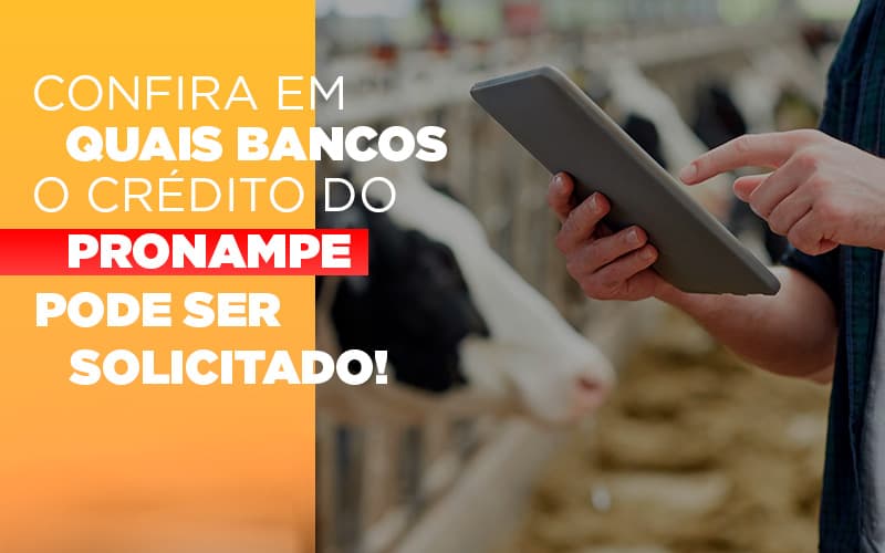 Confira Em Quais Bancos O Credito Pronampe Ja Pode Ser Solicitado Notícias E Artigos Contábeis Notícias E Artigos Contábeis - Escritório Brasil de Contabilidade