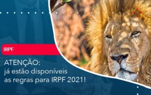 Ja Estao Disponiveis As Regras Para Irpf 2021 - Escritório Brasil de Contabilidade