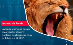 Entenda Como Os Casais Divorciados Devem Declarar As Despesas Com Os Filhos No Ir 2021 1 - Escritório Brasil de Contabilidade