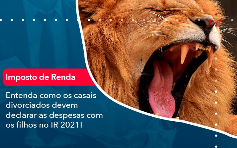 Entenda Como Os Casais Divorciados Devem Declarar As Despesas Com Os Filhos No Ir 2021 1 - Escritório Brasil de Contabilidade