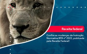 Confira As Mudancas Da Instrucao Normativa Rfb N 2022 Publicada Pela Receita Federal - Escritório Brasil de Contabilidade