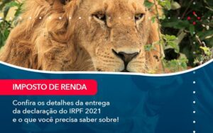 Confira Os Detalhes Da Entrega Da Declaracao Do Irpf 2021 E O Que Voce Precisa Saber Sobre 1 - Escritório Brasil de Contabilidade