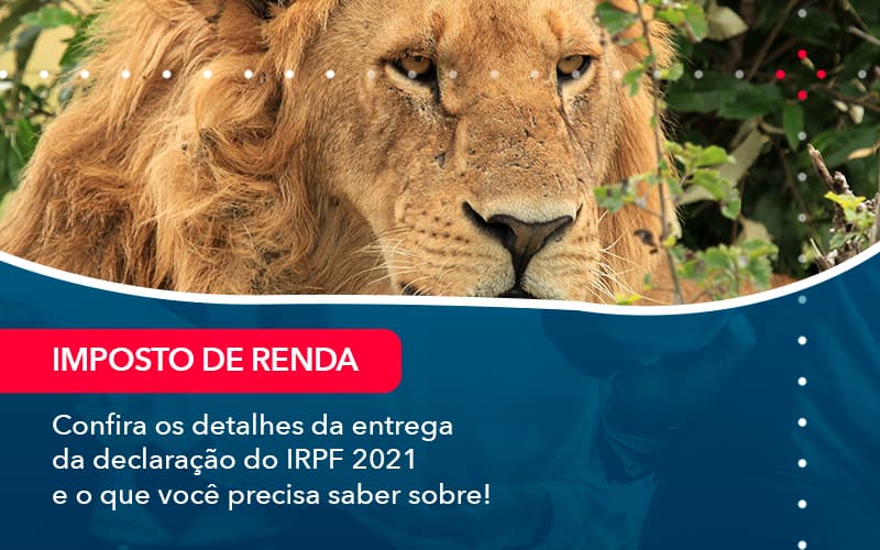 Confira Os Detalhes Da Entrega Da Declaracao Do Irpf 2021 E O Que Voce Precisa Saber Sobre 1 - Escritório Brasil de Contabilidade