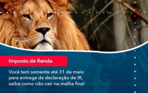 Voce Tem Somente Ate 31 De Maio Para Entrega Da Declaracao De Ir Saiba Como Nao Cair Na Malha Fina (1) - Escritório Brasil de Contabilidade