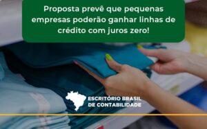 Proposta Prevê Que Pequenas Empresas Poderão Ganhar Linhas De Crédito Com Juros Zero Escritorio Brasil - Escritório Brasil de Contabilidade