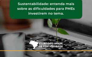 Sustentabilidade Escritorio Brasil - Escritório Brasil de Contabilidade