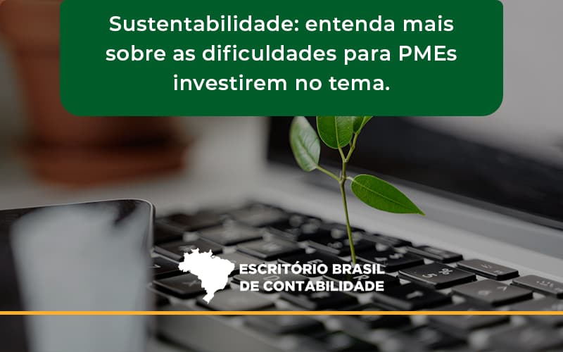 Sustentabilidade Escritorio Brasil - Escritório Brasil de Contabilidade