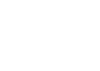 Martins Rent a Car