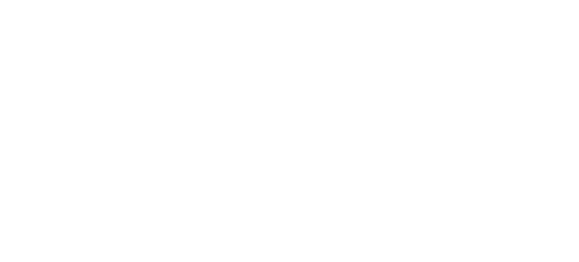 Norte Brasil Açaí